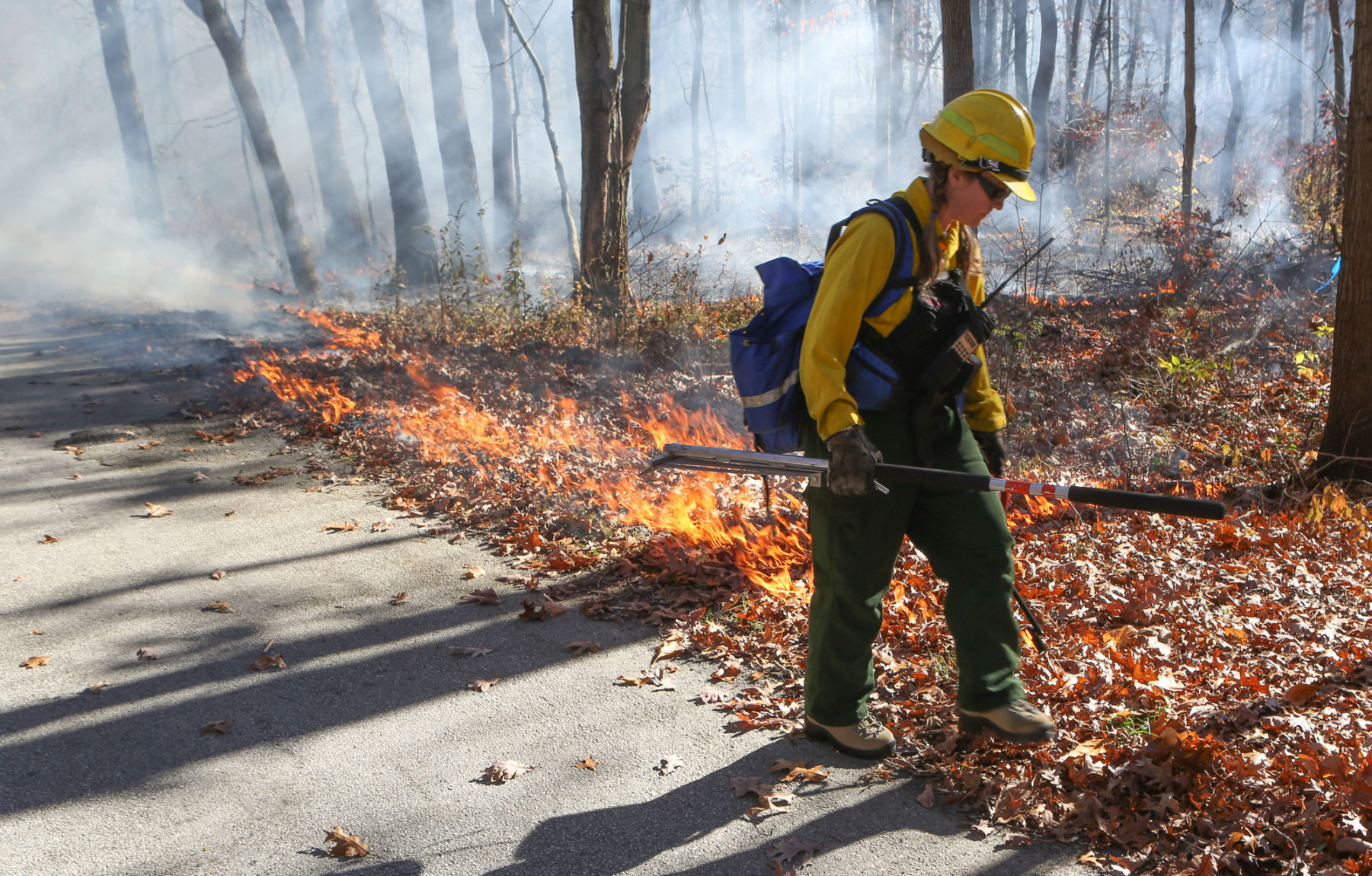 Prescribed burns improve safety, restore ecosystem